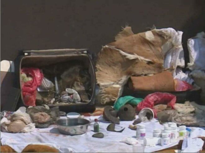 traditional-healer-dr-wanjimba-27736844586-17