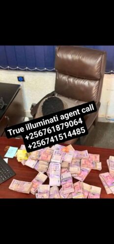 1738660527778-1