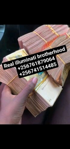 1738660529682-1