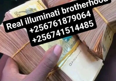 1738660529682-1