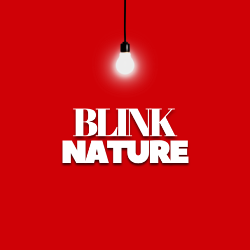 Blinknature.com-i