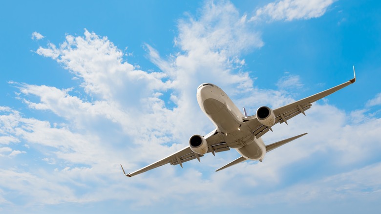 how-we-chose-plus-other-tips-on-maximizing-your-flight-booking-experience-1706807903-1