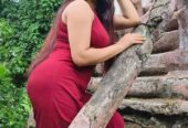 sngine_678b831d6e273b7fa2b7c5190259a06b-Copy-Copy-1