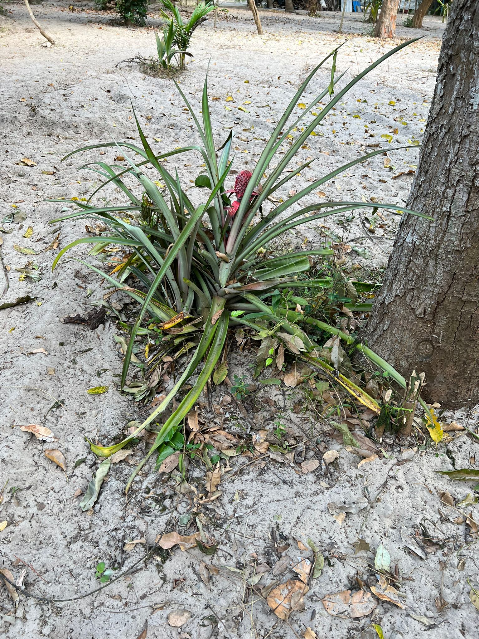 WhatsApp-Image-2025-12-19-at-12.10.03-PM-10