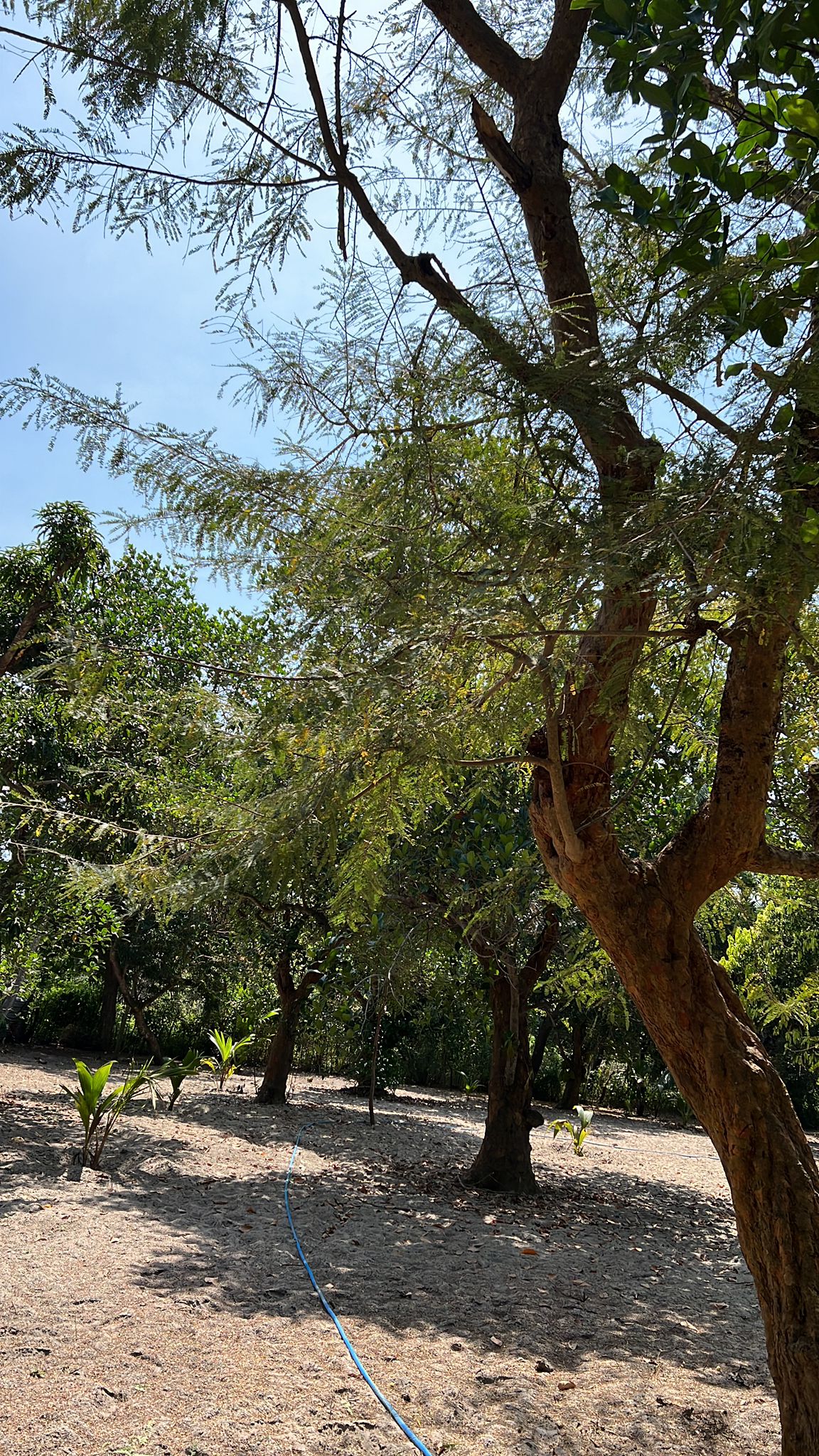 WhatsApp-Image-2025-12-19-at-12.10.03-PM-12