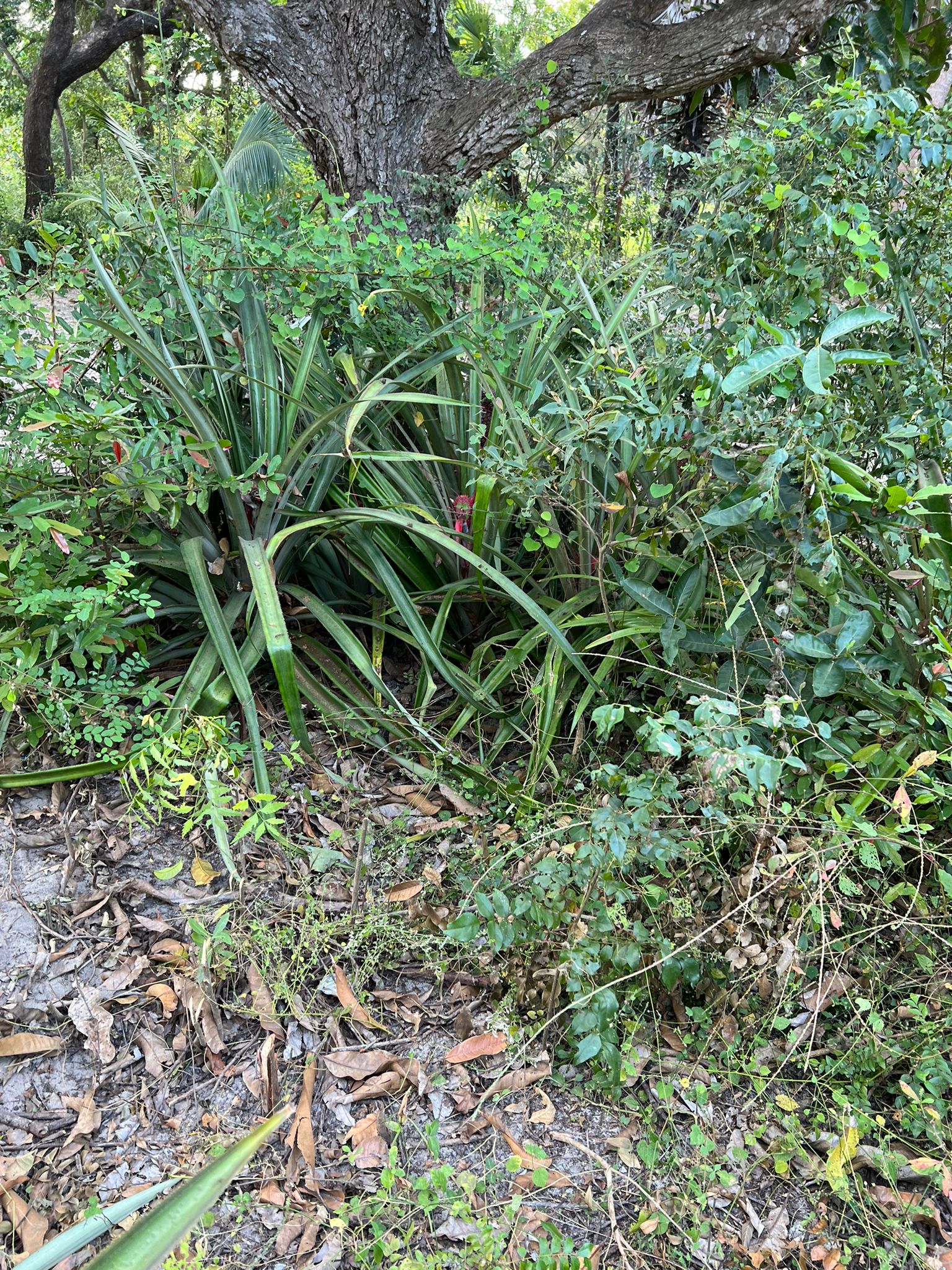 WhatsApp-Image-2025-12-19-at-12.10.03-PM-3