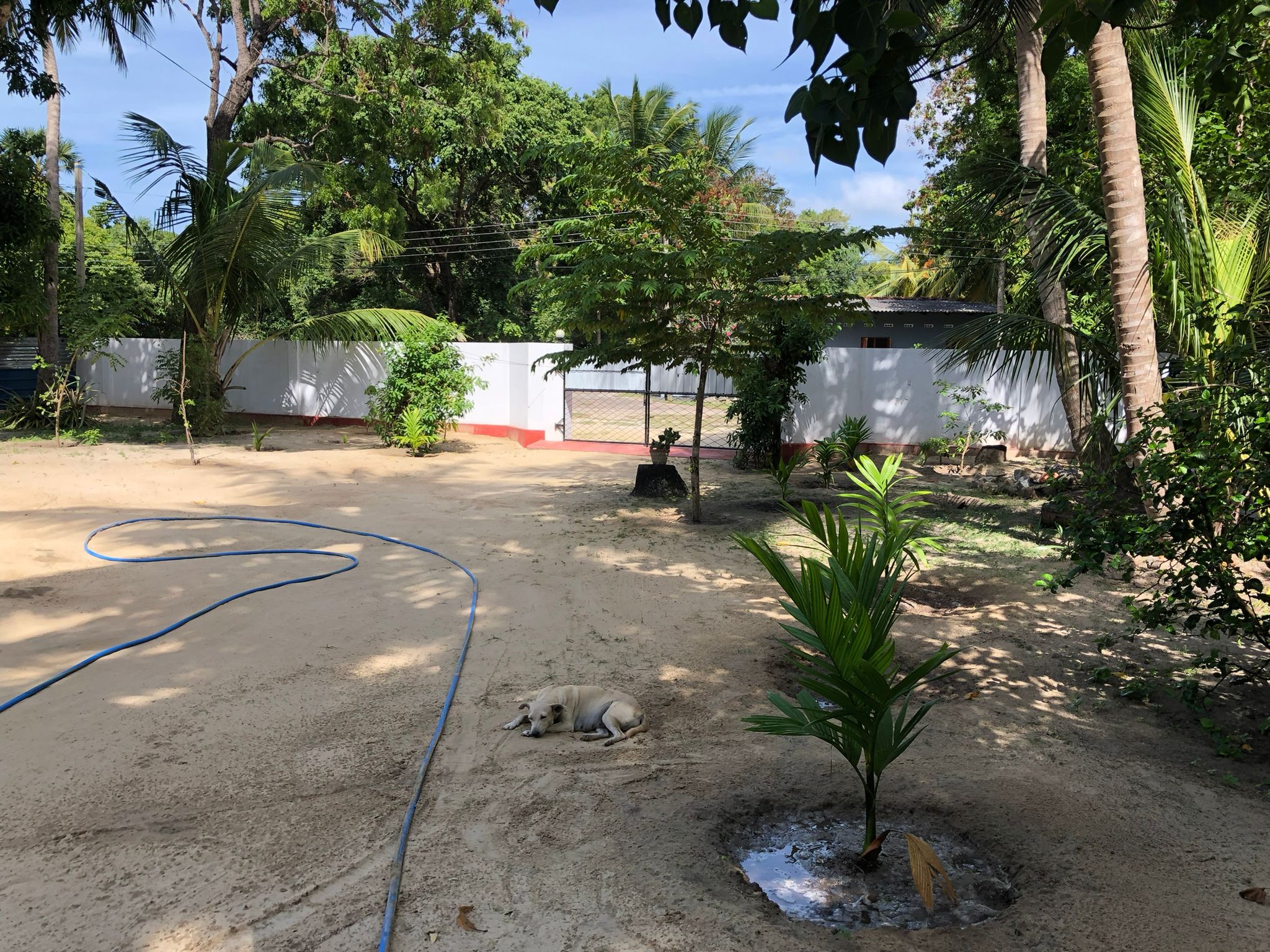 WhatsApp-Image-2025-12-19-at-12.10.03-PM-9